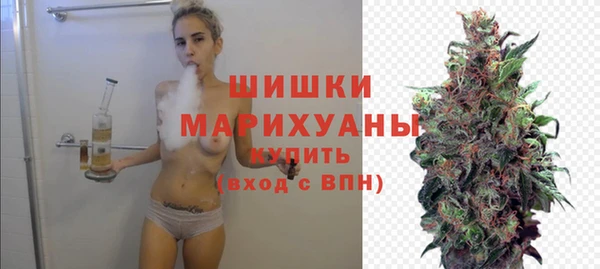 гидра Арсеньев