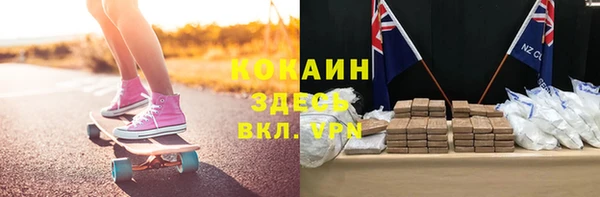 гидра Арсеньев