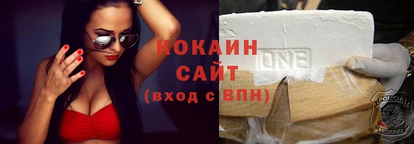 гидра Арсеньев