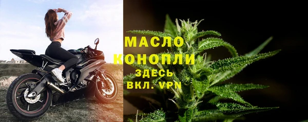 гидра Арсеньев