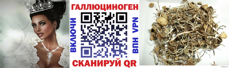 Псилоцибиновые грибы Cubensis  Углич 